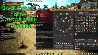 Откуда Дорогие вещи у новичка Black Desert