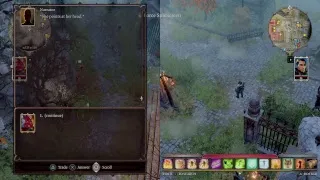 Shanessiel - Divinity: Original Sin 2 - Honour mode Co-op