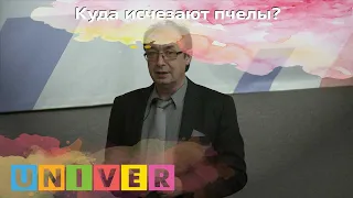 Куда исчезают пчелы? Детский университет КФУ от 27.10.19