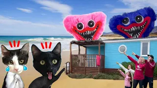 24 horas de vacaciones y aparece Huggy Wuggy en la vida real / Videos de gatos Luna y Estrella