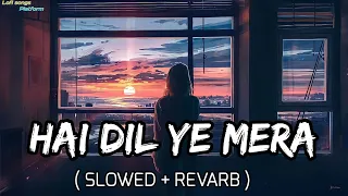 Hai Dil Ye Mera - Lofi (Slowed + Reverb) | Arijit Singh || Lofi songs Platform ||