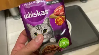 Дегустация влажный корм WHISKAS® «МЯСНАЯ КОЛЛЕКЦИЯ» для кошек с говядиной в желе