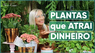 5 Plantas que ATRAEM Dinheiro pra sua Casa | Flávia Kremer