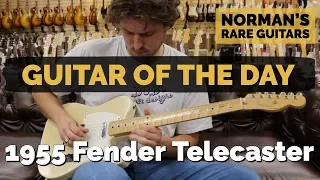 Guitar of the Day: 1955 Fender Telecaster | Norman's Rare Guitars