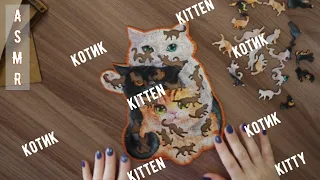 АСМР 🐱 Много котиков, деревянные пазлы / ASMR 🐱 A lot of seals (kittens), wooden puzzles