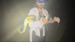 Python hunt #1: 2 Pythons in one night