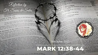 Gospel of Mark 12:38-44 (June 5th, 2021 Saturday) Reflection by Fr. Savio de Sales