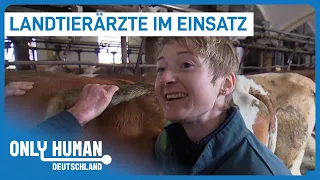 "Einen besseren Job gibt's nicht" | Traumberuf Tierärztin? | Only Human Deutschland