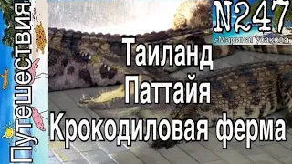 Таиланд  Паттайя. Крокодиловая ферма кормили крокодилов и Шоу крокодилов Часть №18