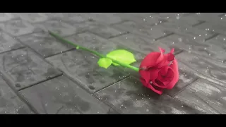 A Rose in the rain | Cinema 4D, Redshift