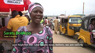 GMO cowpeas improve affordability of Nigerian staple food