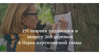 Жители Витебска написали письмо Лукашенко с просьбой защитить Партизанской славы от вырубки