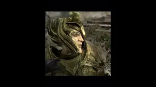 The proper way to greet a Thalmor agent (Skyrim)