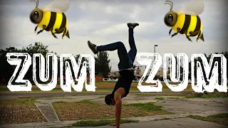 Zum Zum 🐝 Coreografia