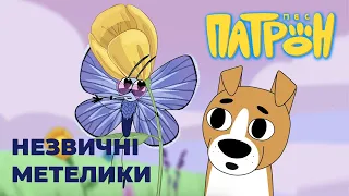 Animated series "Patron The Dog". Episode 9. "Unusual butterflies".