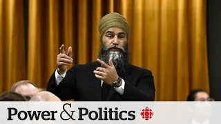 NDP appears to shift on carbon tax | Power & Politics
