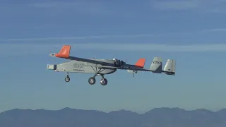 Making Skies Safe for Unmanned Aircraft