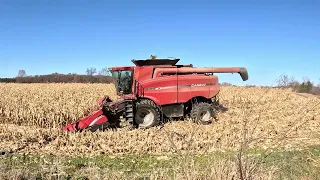 Going For Cider & Donuts - Harvest 2023 Corn - CASE IH 8010 AFX Axial-Flow® #harvestchaser