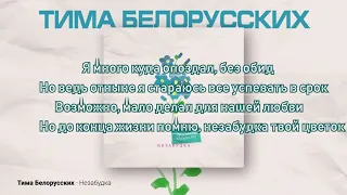 Тима Белорусских - Незабудка Tima Belarusskih Nezabudka Karaoke