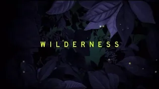 Taylor Swift - Look What You Made Me Do (Taylor’s Version)(NEW Snippet)(from Wilderness)