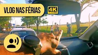 Vlog nas férias: Corridinha em Rio Claro, a cidade azul!