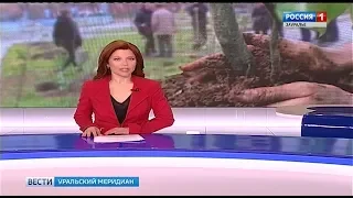 Вести - Уральский Меридиан. Эфир от 12.04.19