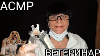 АСМР ВЕТЕРИНАР