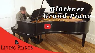 Blüthner Grand Piano - Living Pianos