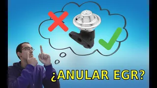 ANULAR válvula EGR | VENTAJAS y DESVENTAJAS