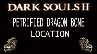 Dark Souls 2 Scholar of the First Sin Petrified Dragon Bone Location
