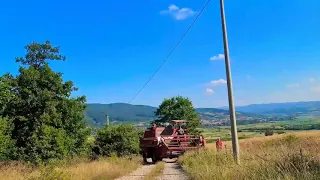 Massey Ferguson 506  Harvest, жетва