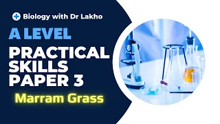 Marram Grass | A Level - Practical Skills P3 | Biology with Dr Lakho