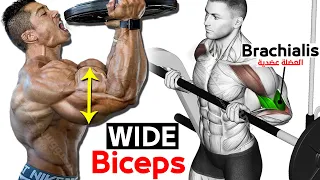 14 BEST Exercises for WIDER BICEPS