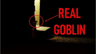 TOP 10 REAL GOBLINS CAUGHT ON CAMERA | GOBLIN SIGHTINGS TROLL FAIRY ELF MONKEY