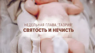 💥 СВЯТОСТЬ И НЕЧИСТЬ 💣 (Рав Исраэль Якобов) Недельная глава "Тазрия"