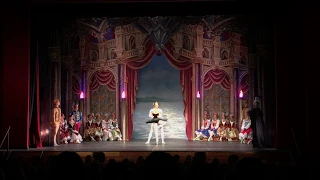 Па-де-де Одиллии и Принца из балета Лебединое Озеро