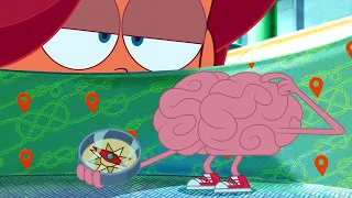 (NEW) Zig & Sharko 😒❓ THE MAZE  (S03E15) New Episodes in HD