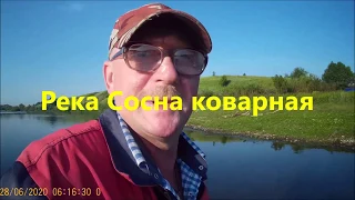 Река Сосна рыбалка КОВАРНАЯ