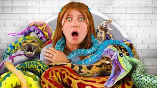 Would You Lay in A Bed of Snakes For A Million Subscribers?