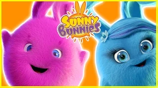 Cartoon | Sunny Bunnies - Hide and Seek | Funny Videos For Kids