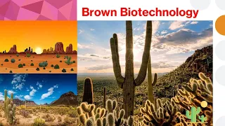 Brown Biotechnology Explained in 8 Minutes