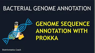 prokka tutorial genome assembly contigs annotation | bacterial genomes