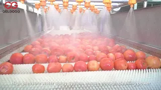 Video About The Tomato Washing Machine