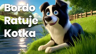 Bordo Ratuje Kotka 🐾🦴 - Dzielny Border Collie