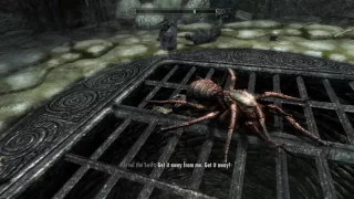 Skyrim: That Wasn't Supposed to Happen