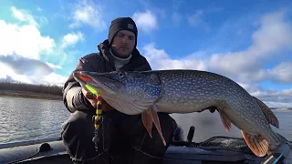 КОГДА ПОПАЛ НА ЗИМОВАЛЬНУЮ ЯМУ..............!Трофейная рыбалка.Закрытие жидкой воды.Жду ПЕРВЫЙ ЛЕД))