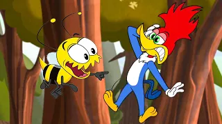 Woody vs The Bees! | Woody Woodpecker