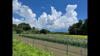 【 夏影 】日本の田舎でノスタルジックな夏