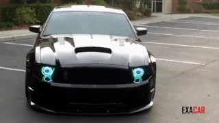 Ford Mustang Shelby Cobra Spit Nitrous(Car For Natural Man)