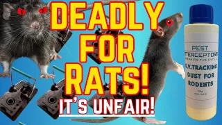 GET RID OF RATS FAST! Amazing DEADLY combo - BLUE BAR rat traps & U.V. TRACKING DUST.